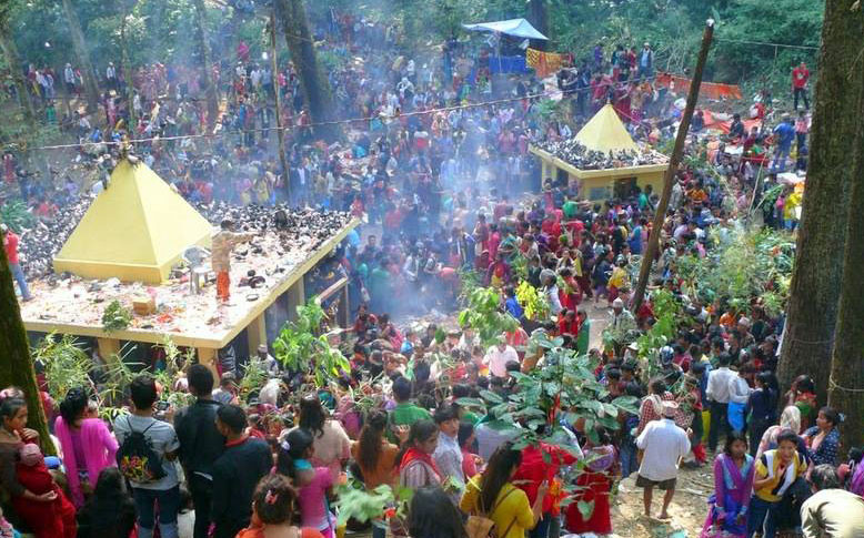 पाल्पाको सत्यवती मेलामा चिच्याएर वर माग्ने भक्तजनबाट झन्डै ४० लाख भेटी संकलन