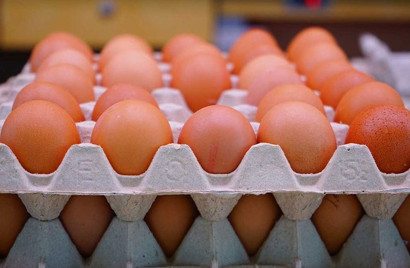 अन्डाकाे भाउ बढ्यो