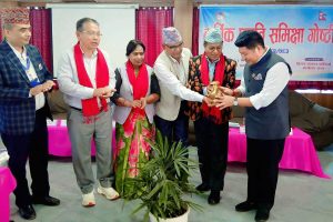 पाल्पामा दुईदिने समीक्षा : पालिका प्रमुखहरूले सुनाए कानुनी र व्यावहारिक समस्या